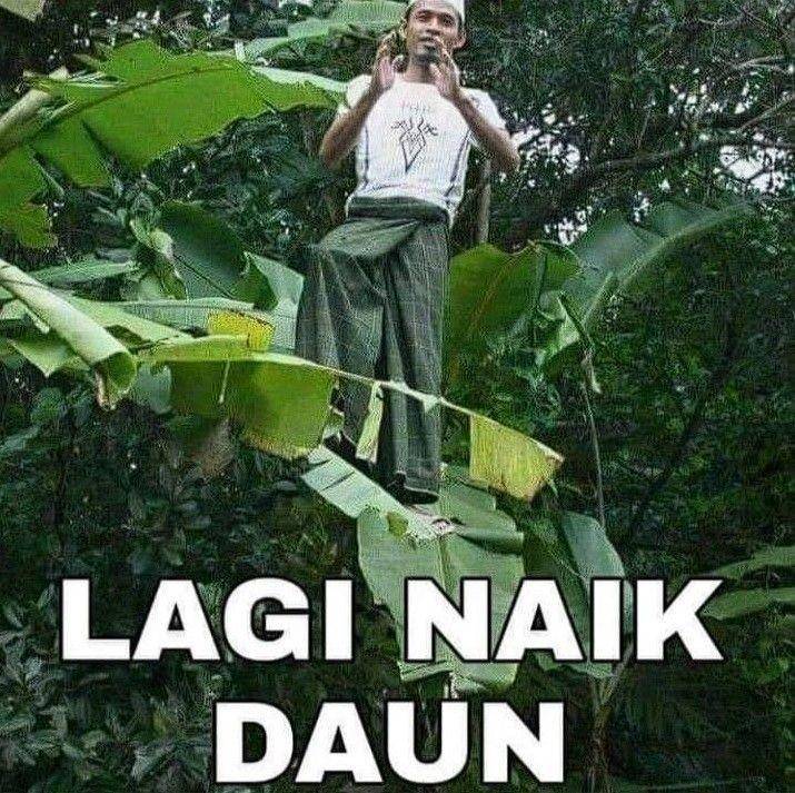 meme benar tapi salah (twitter.com/kindashiny)