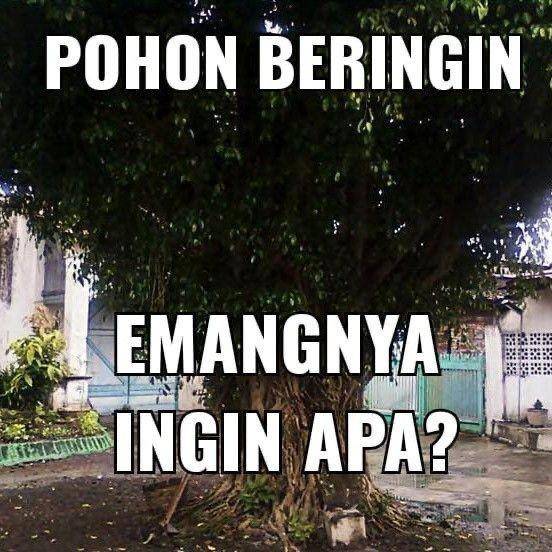 meme benar tapi salah (twitter.com/kindashiny)