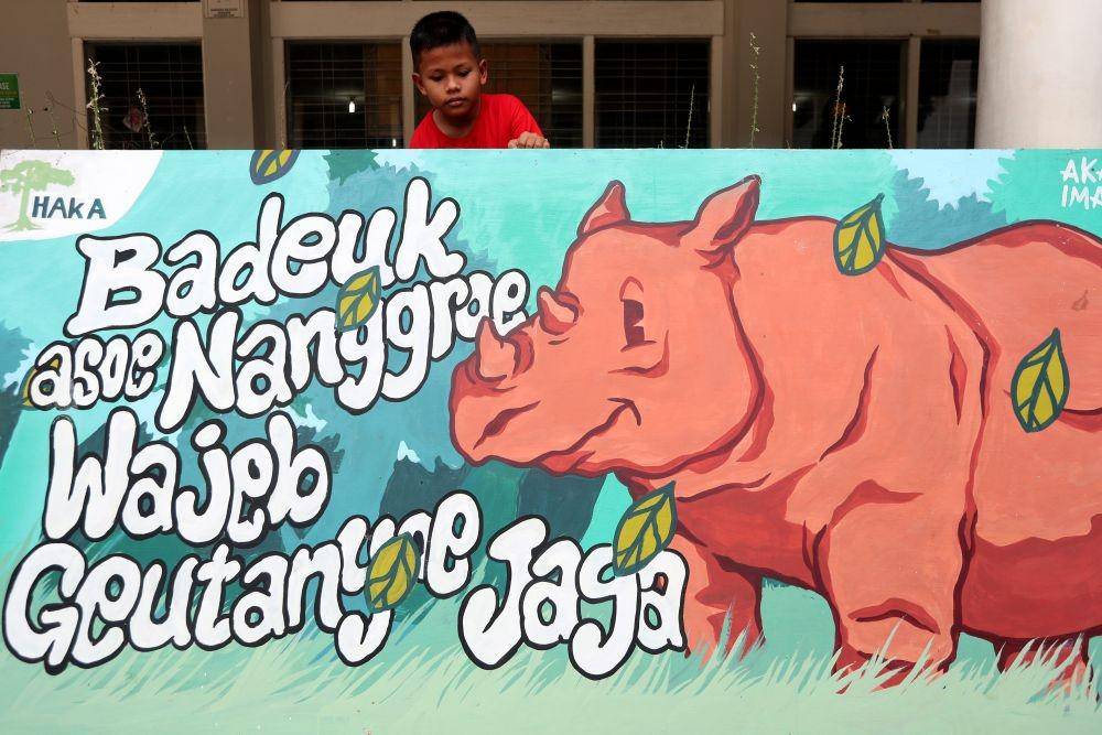 Seorang anak melihat lukisan badak pada peringatan Hari Badak Sedunia yang diselenggarakan komunitas pecinta lingkungan dan satwa bersama Forum Konservasi Leuser di Banda Aceh, Aceh, Kamis (22/9/2022).  ANTARA FOTO/Irwansyah Putra/wsj