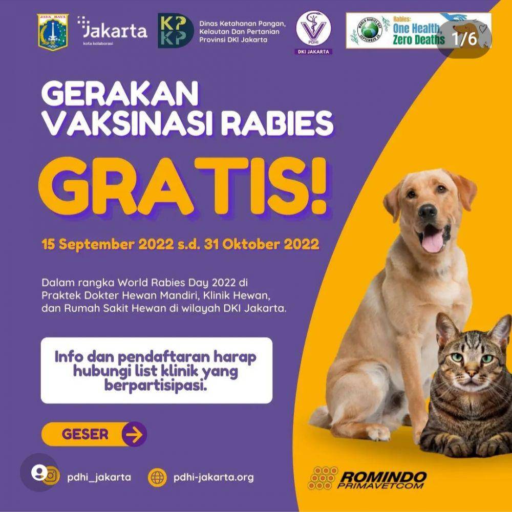 Gerakan Vaksinasi Rabies (instagram.com/pdhi_jakarta)