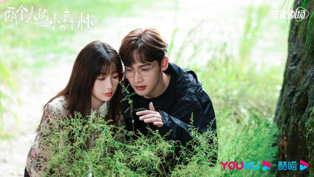 cuplikan drama A Romance of the Little Forest (weibo.com/电视剧两个人的小森林 )