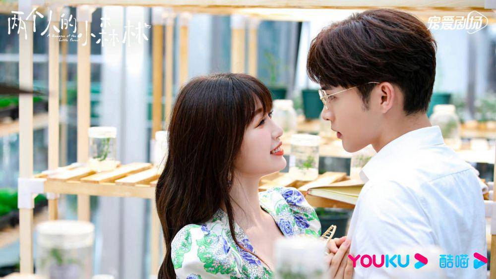 cuplikan drama A Romance of the Little Forest (weibo.com/电视剧两个人的小森林 )