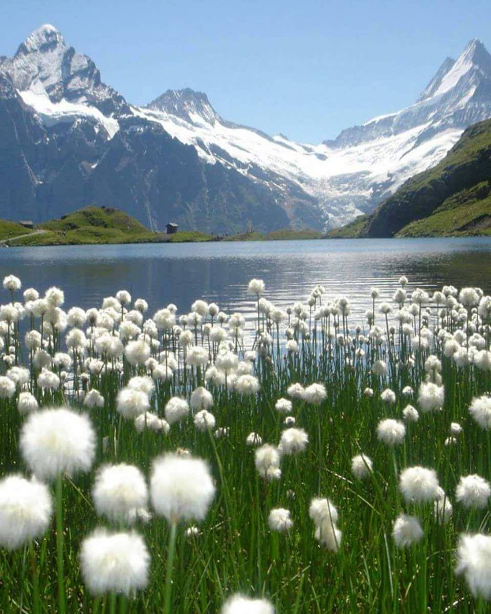 Bachalpsee (facebook.com/Lorinhaamorim)