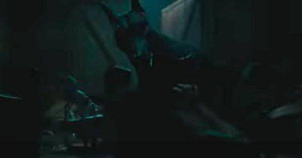 Seekor anjing menyerang warga ( Dok. Cinema 21 / Qodrat )