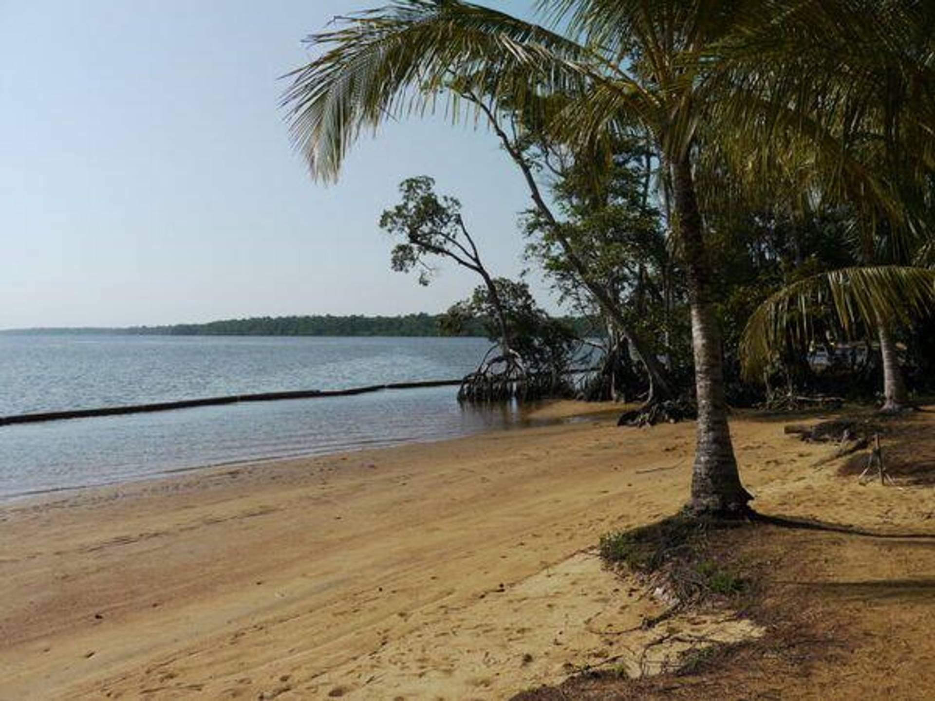 10 Fakta Negara Suriname di Drakor Narco-Saints | IDN Times