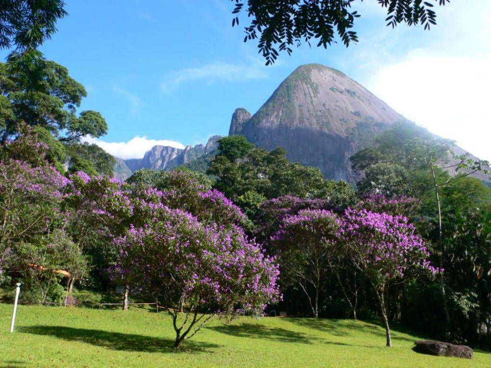 Cagar Alam Atlantic Forest South-East (facebook.com/Natural-Beauty)