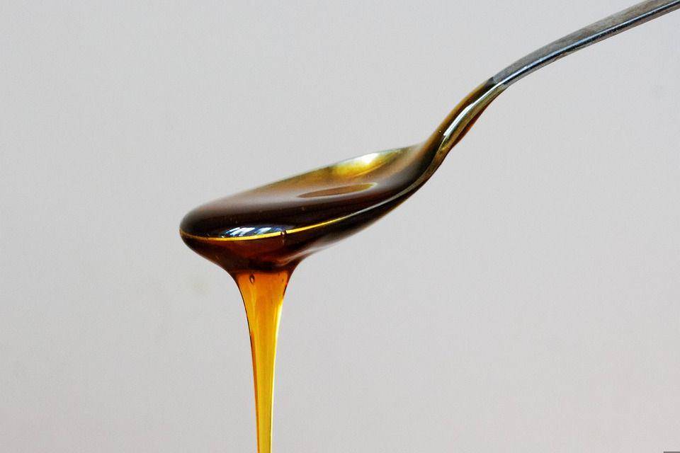 ilustrasi agave nectar (pixabay.com/StockSnap)