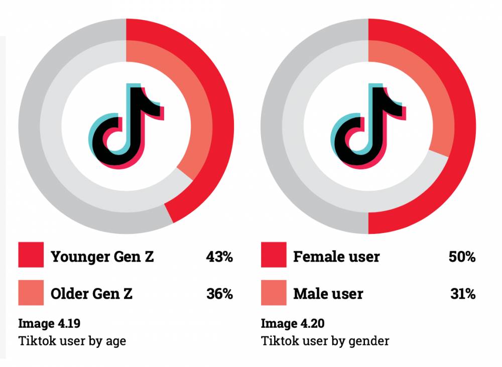 Ilustrasi Indonesia Millennials Report 2022 (Dok. IDN Times)