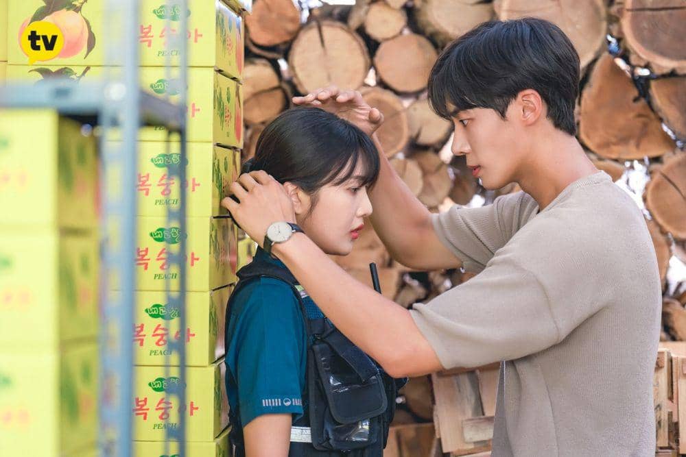 Cho Young Woo dan 9 Aktor Ini Punya Pasangan Polwan di KDrama