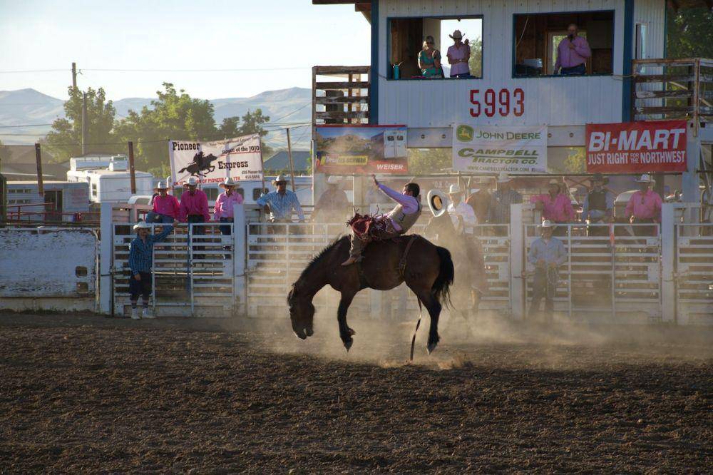 atlet rodeo yang sedang berlaga (pexels.com/Andrew Foster)