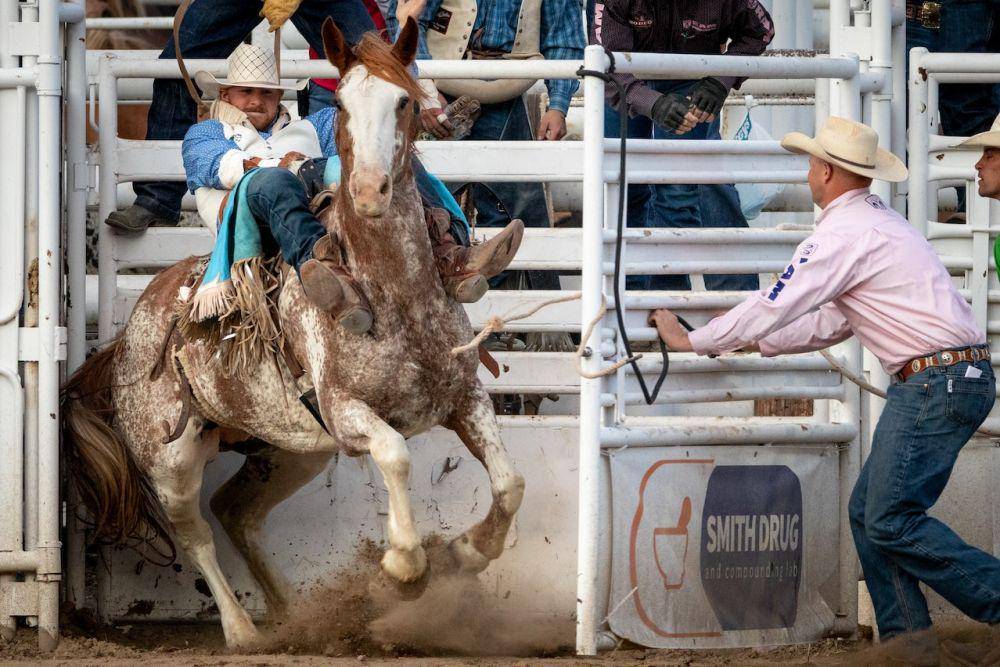 rider rodeo (pexels.com/Tony Mucci)