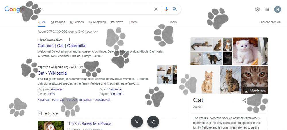 easter egg "cat" (dok. Google)
