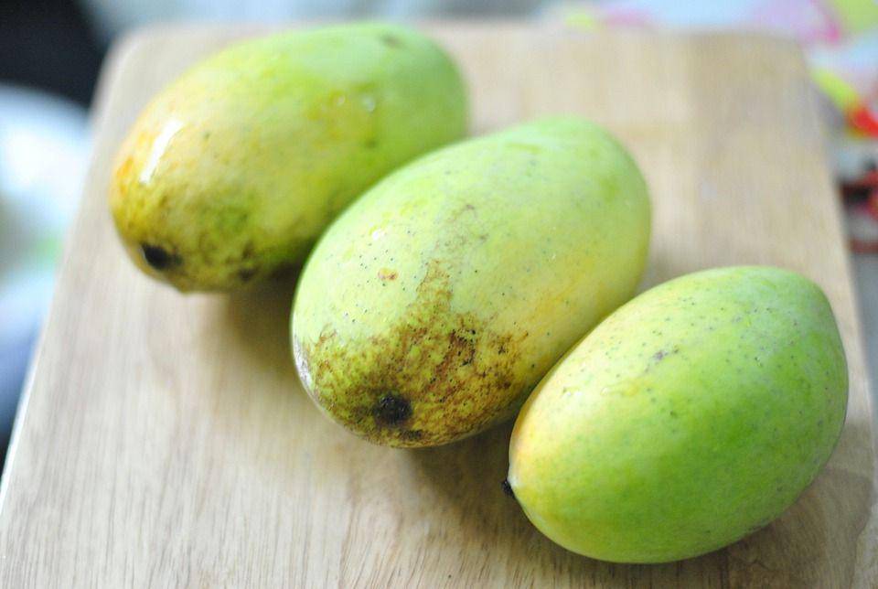 mangga buah yang awet disimpan tanpa kulkas