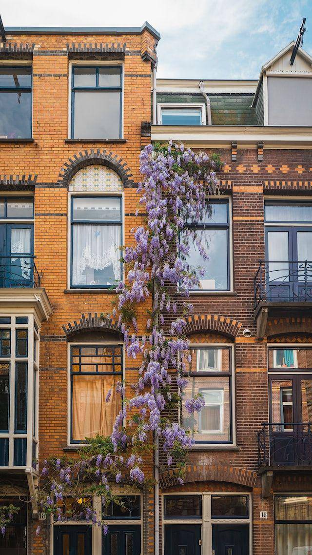 ilustrasi bunga wisteria (unsplash.com/Liam McGarry)