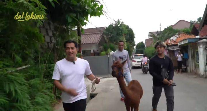 potret Irfan Hakim bawa Alpaca ke minimarket (youtube.com/deHakims)