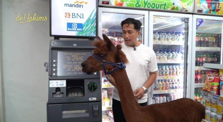 potret Irfan Hakim bawa Alpaca ke minimarket (youtube.com/deHakims)