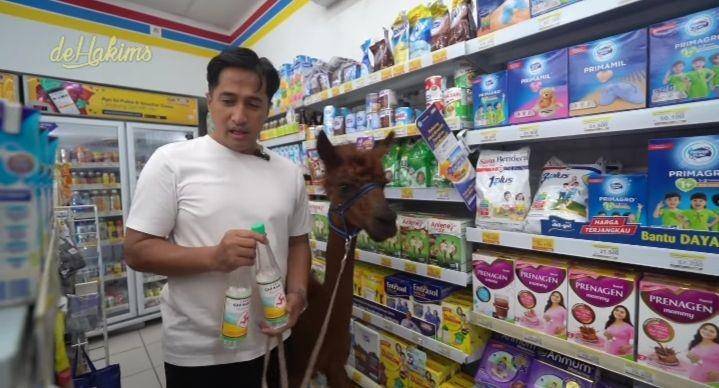 potret Irfan Hakim bawa Alpaca ke minimarket (youtube.com/deHakims)