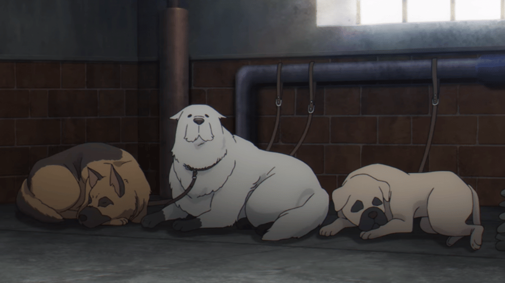 Anjing-anjing dari Project Apple (dok. WIT Studio x CloverWorks/ Spy x Family Season 2)
