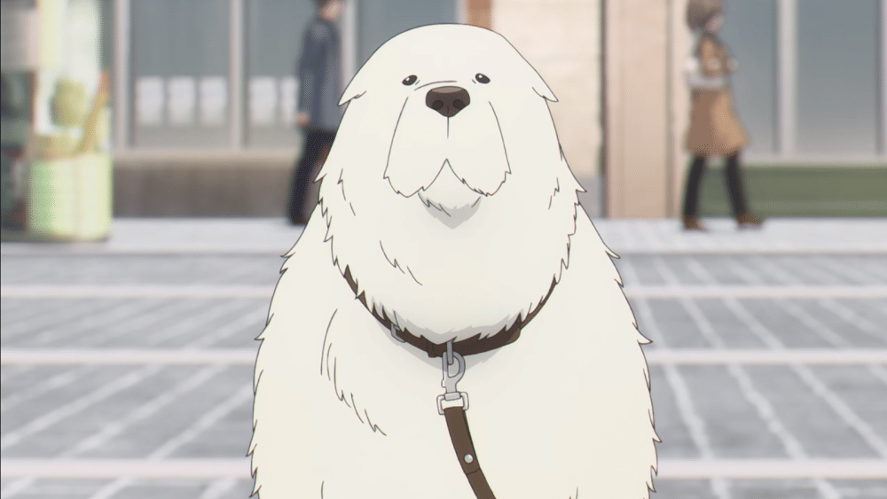 Subjek 8 Project Apple (dok. WIT Studio x CloverWorks/ Spy x Family 2nd cour)