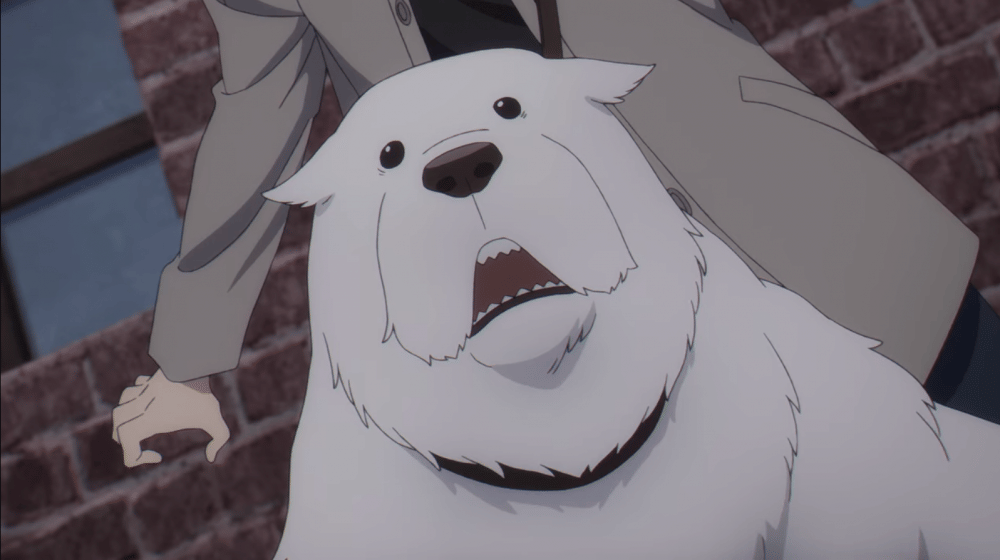 Bond akan menjadi bagian dari keluarga Forger (dok. WIT Studio x CloverWorks/ Spy x Family 2nd cour)