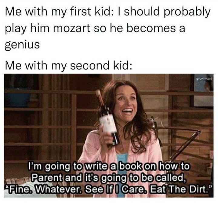 meme parenting (instagram.com/neatmom)