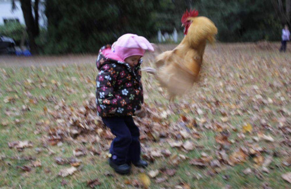 sepersekian detik sebelum insiden (reddit.com/hauntcircus)