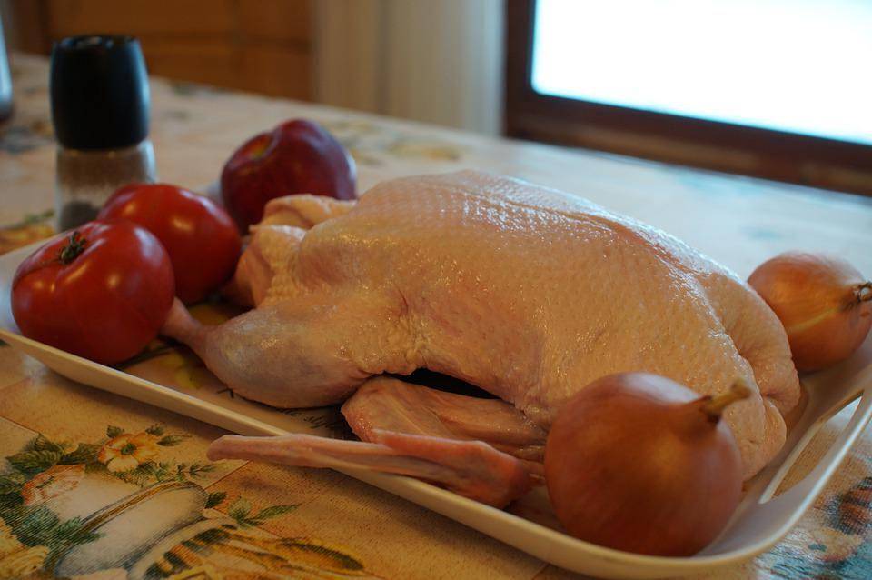 ilustrasi daging bebek (pixabay.com/Pavel Ivanov)