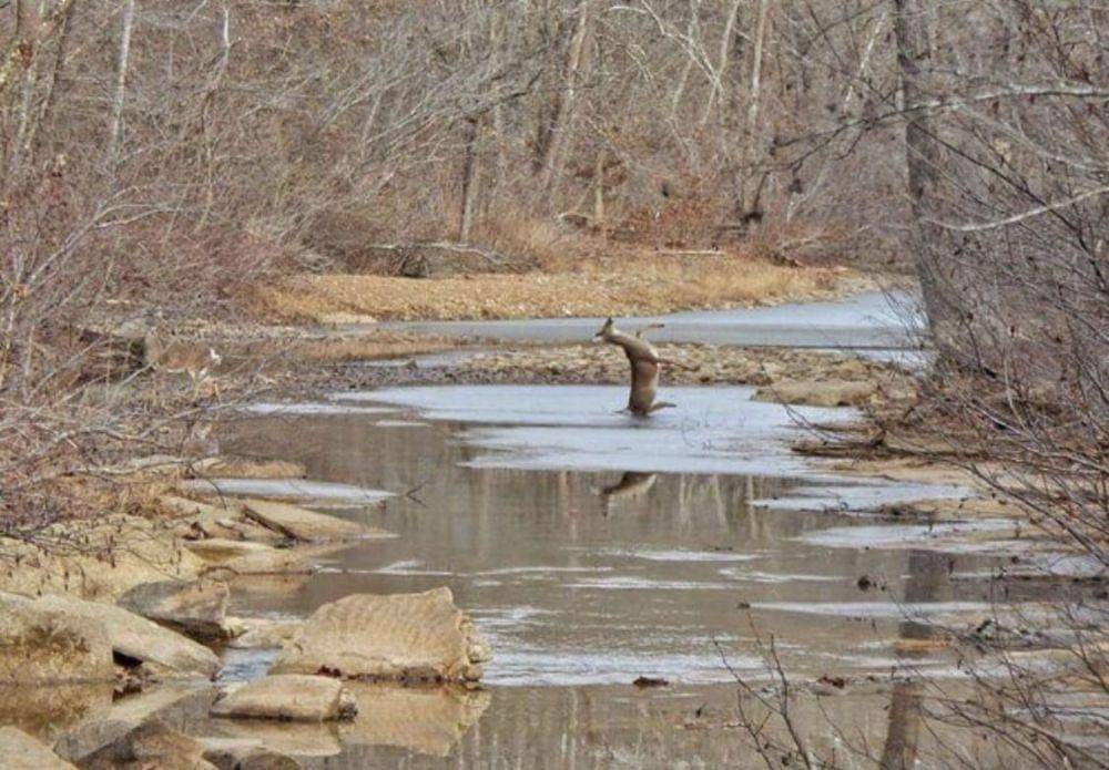 sepersekian detik sebelum insiden (reddit.com/deleted)