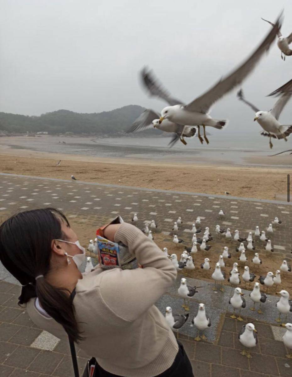 aksi kocak burung (reddit.com/Rought_Beat)