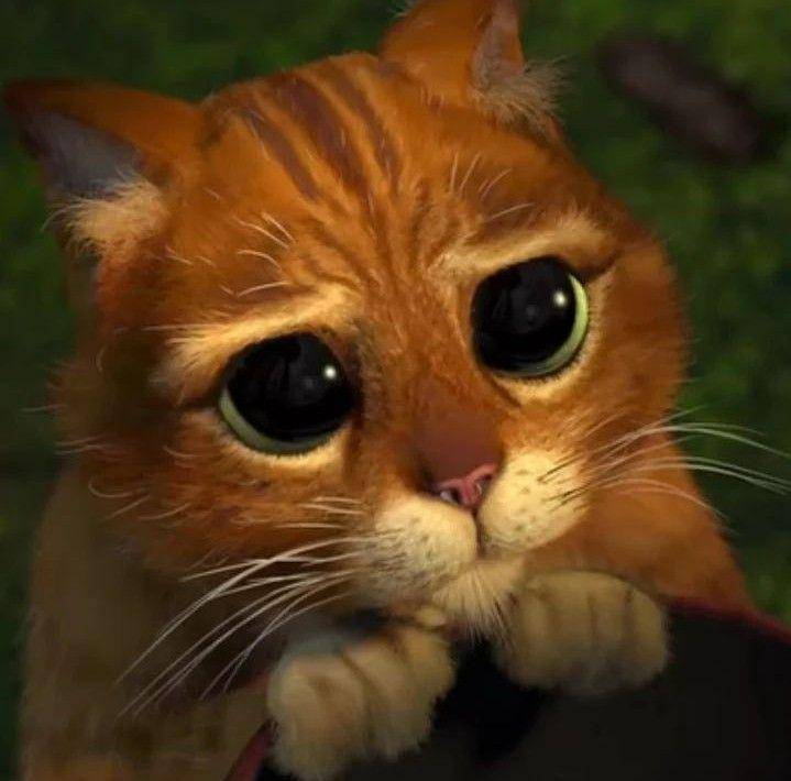 potret Puss in Boots (dok. DreamWorks Animation)