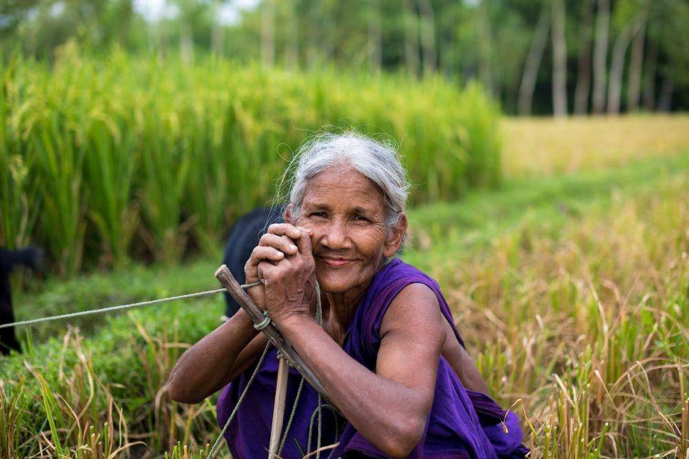 ilustrasi petani wanita (Pexels.com/Kelly)