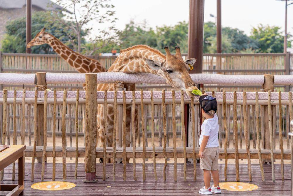 ilustrasi anak-anak (pexels.com/Denys Gromov)