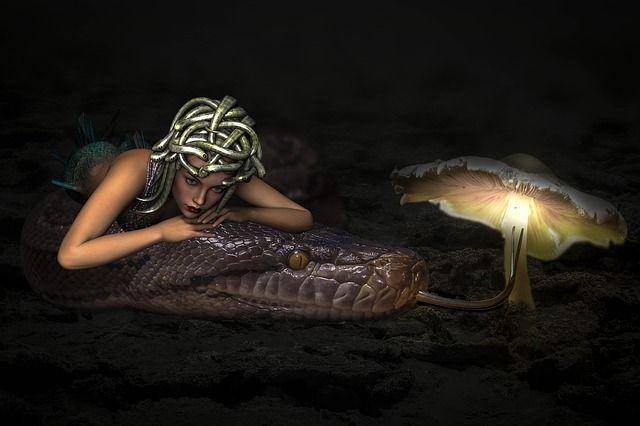 Ilustrasi Medusa (pixabay.com/Willgard)