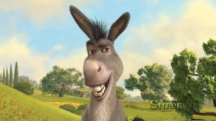 karakter Donkey (dok. DreamWorks Animation)