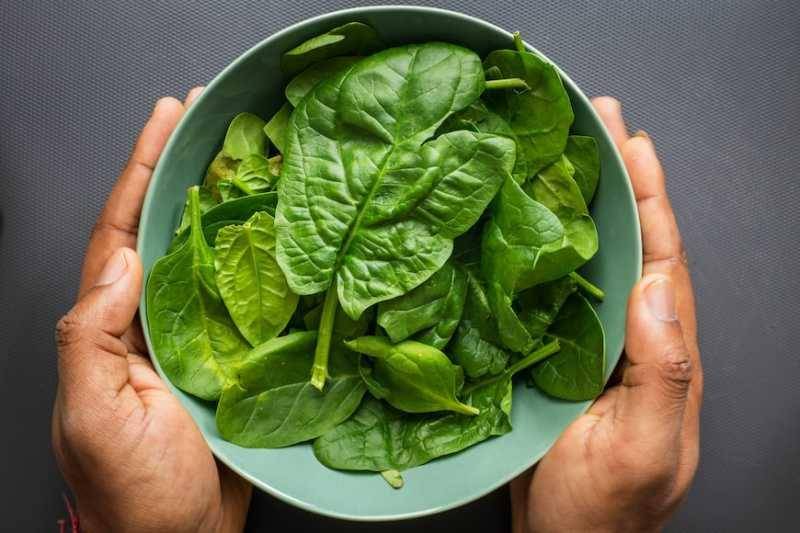 ilustrasi sayur bayam (unsplash.com/LouisHansel)