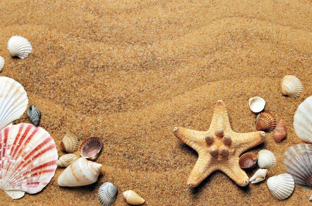 ilustrasi pasir (pixabay.com/users/croisy-1670164)