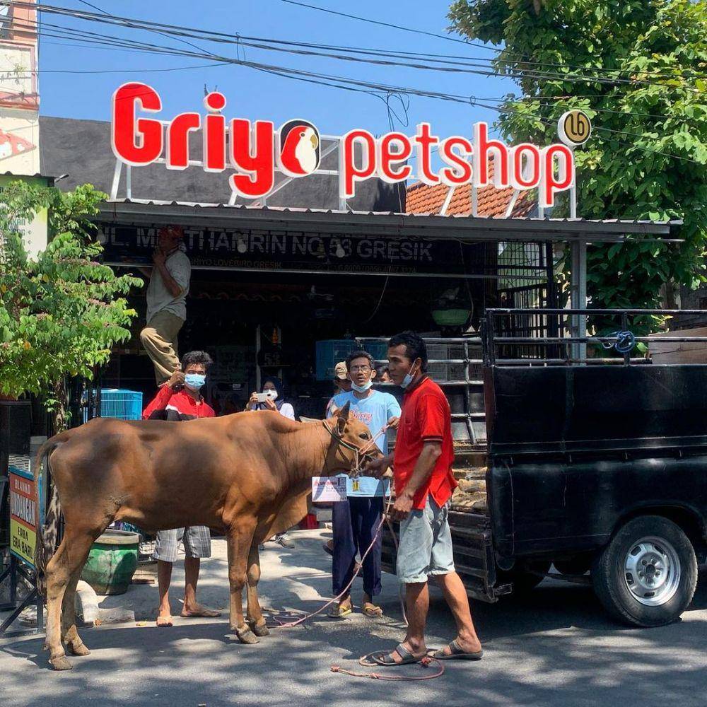 Griyo Petshop. (instagram.com/griyopetshopgresik)