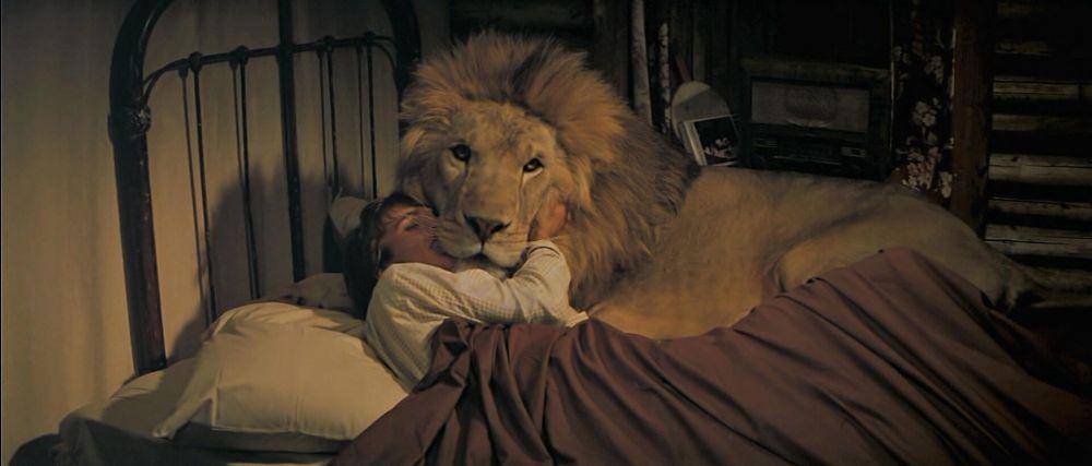 cuplikan film Roar (dok. Film Consortium/Roar)