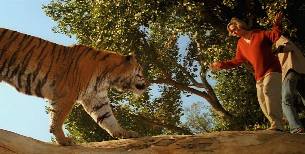 cuplikan film Roar (dok. Film Consortium/Roar)