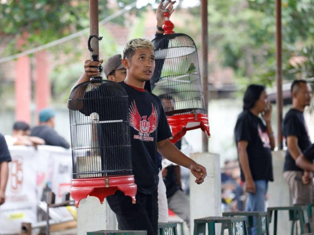 Lomba Kicau Burung Jadi Cara Galang Dukungan bagi Ganjar di Pilpres 2024