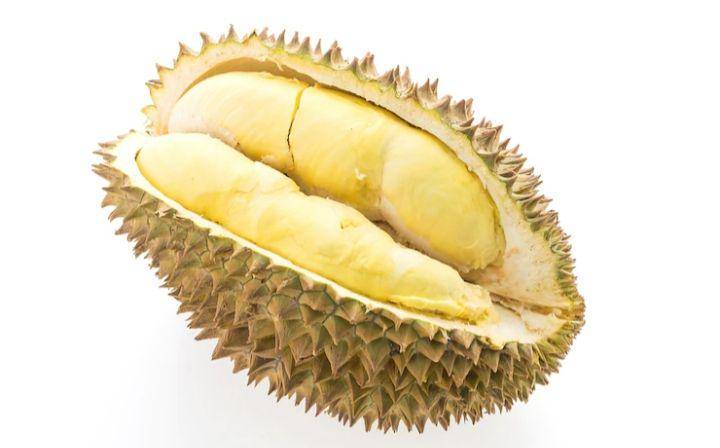 ilustrasi durian (freepik.com/mrsiraphol)