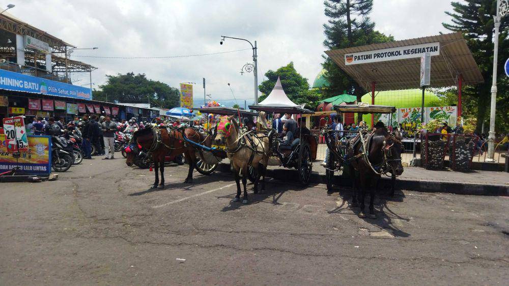 Delman di sekitar Pasar Laron (Dok.pribadi/Rangga)