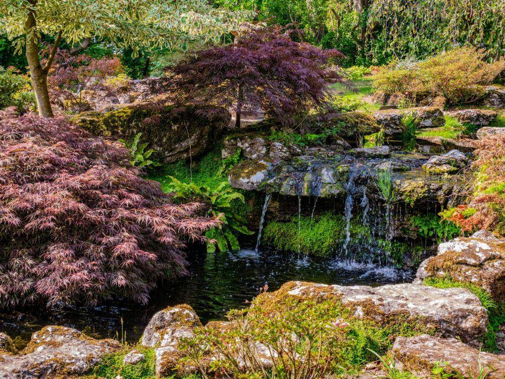 Desain rock garden di halaman rumah (unsplash.com/Geraldine Dukes)