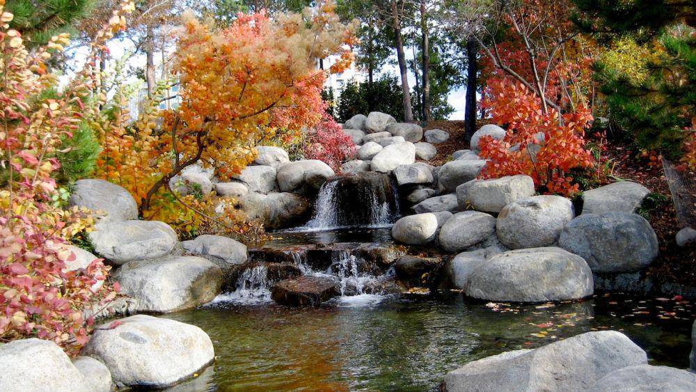 Desain rock garden di halaman rumah (pexels.com/Dianne)