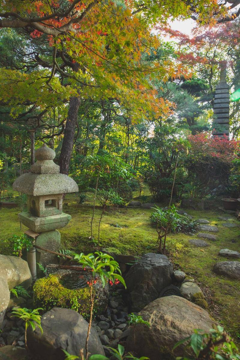 Desain rock garden di halaman rumah (pexels.com/Ryutaro Tsukata)