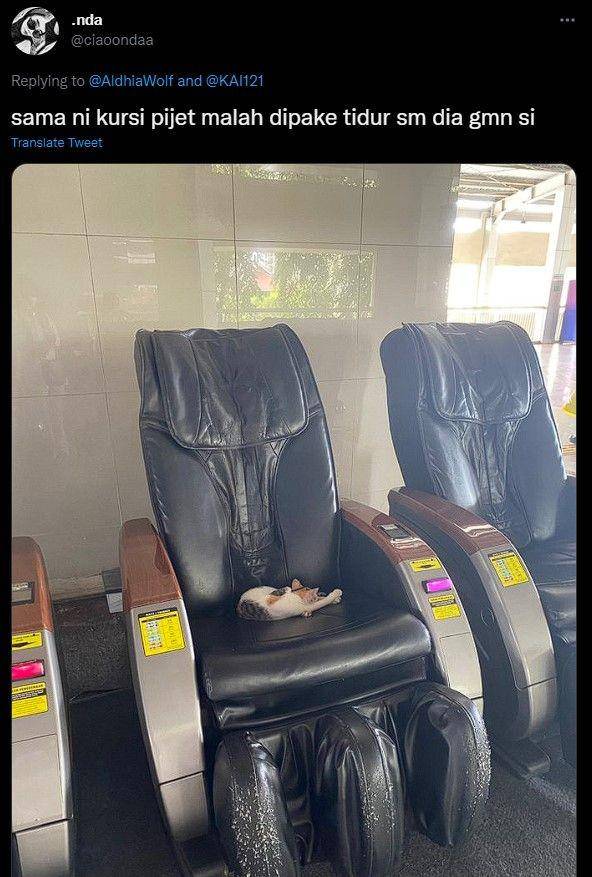 kucing di stasiun kocak (twitter.com/ciaoondaa)
