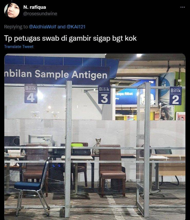 kucing di stasiun kocak (twitter.com/rosesundwine)