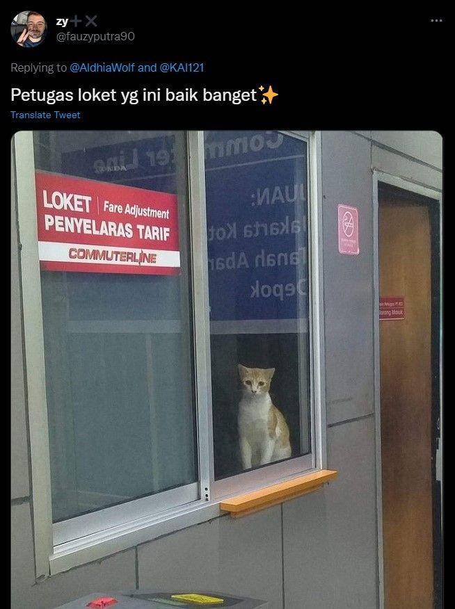 kucing di stasiun kocak (twitter.com/fauzyputra90)