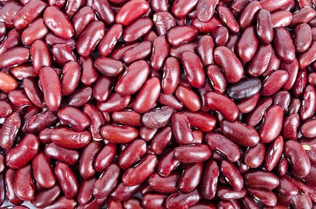 ilustrasi kacang merah (pixabay.com/PublicDomainPictures)