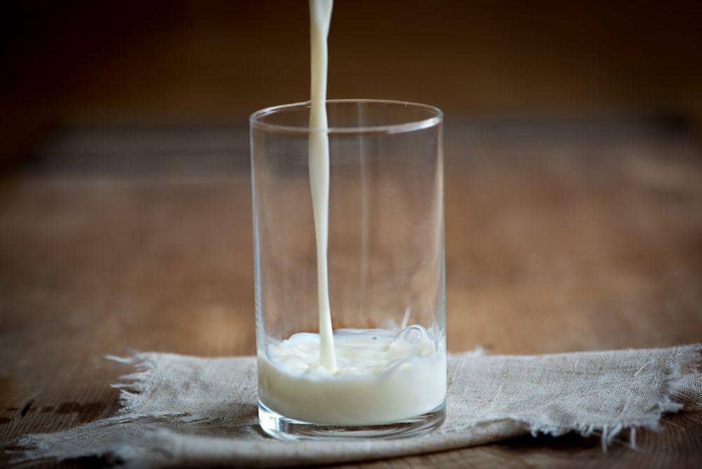 Ilustrasi susu sapi (Pixabay.com/pezibear)